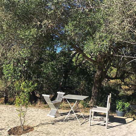 فيلا Casa Da Ti Carolina كارفويرو المظهر الخارجي الصورة
