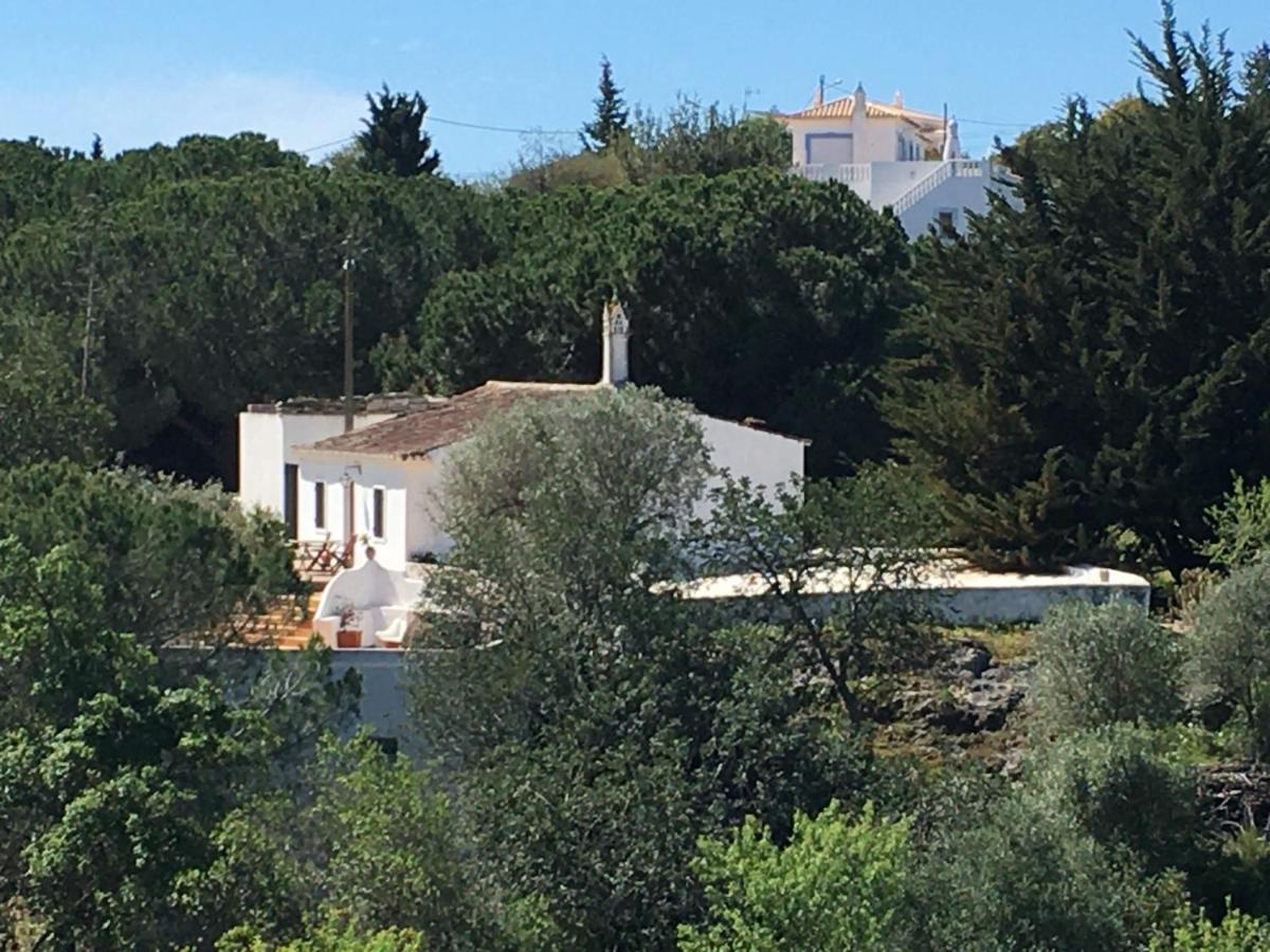 فيلا Casa Da Ti Carolina كارفويرو المظهر الخارجي الصورة